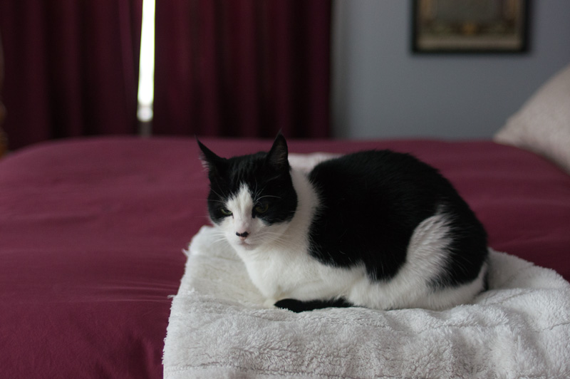 Pushkin