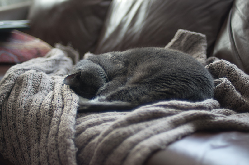 f1.4