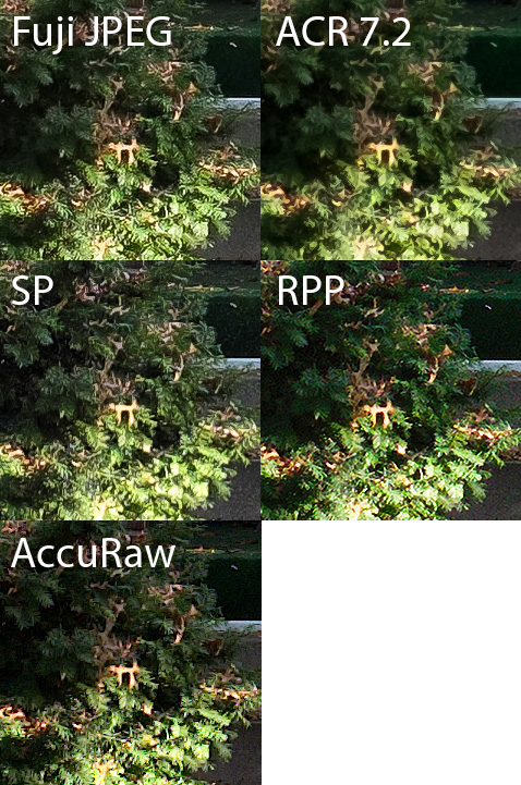 bushcompare2